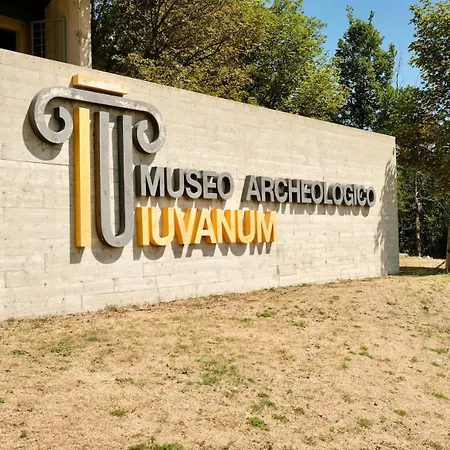 Апартаменты 